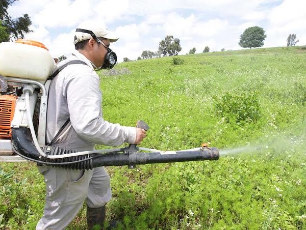 Agricultor aplicando un fungicida en campo