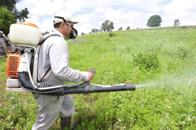 Agricultor aplicando un fungicida en campo