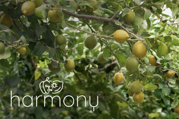 El Proyecto Harmony busca reducir el uso de plaguicidas en un 50 %