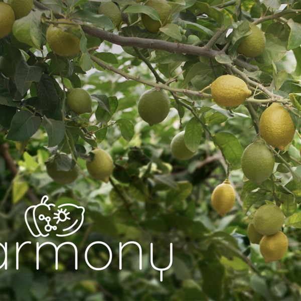 El Proyecto Harmony busca reducir el uso de plaguicidas en un 50 %