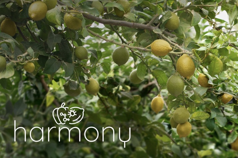 El Proyecto Harmony busca reducir el uso de plaguicidas en un 50 %