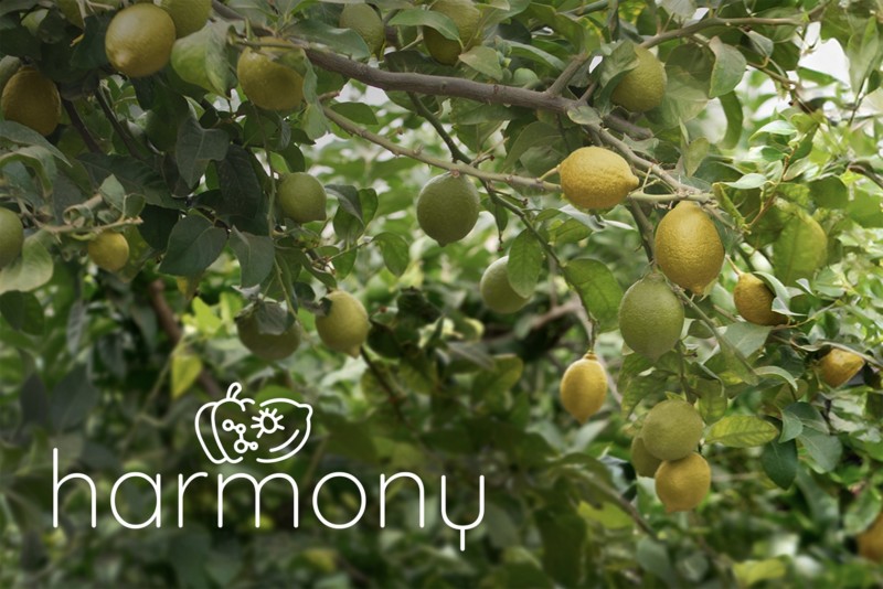 El Proyecto Harmony busca reducir el uso de plaguicidas en un 50 %