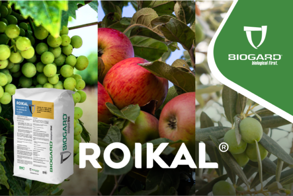Roikal® de Biogard es un formulado a base de caolín molido y calcinado que forma una fina capa protectora sobre la vegetación