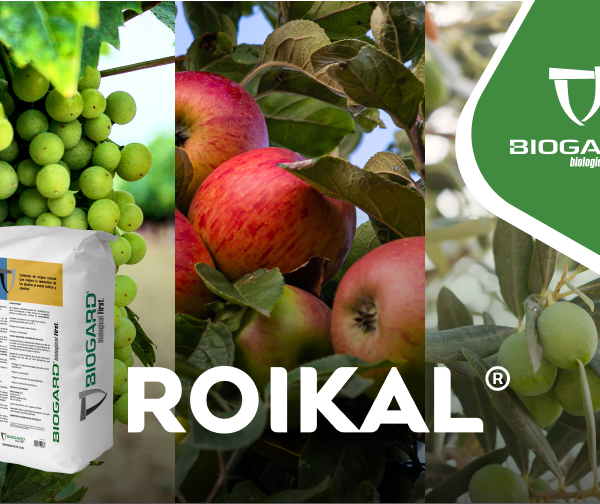Roikal® de Biogard es un formulado a base de caolín molido y calcinado que forma una fina capa protectora sobre la vegetación
