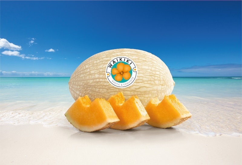 Melón Waikiki