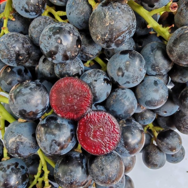 "El objetivo de BOOMBITES™ es aportar innovación a la categoría de fruta fresca"