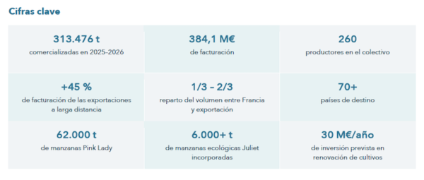 Blue Whale cierra una campaña récord con 384 millones de euros facturados