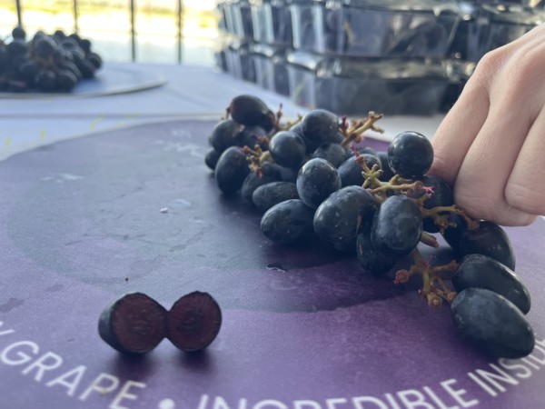 Boombites cuenta con un mayor rango de antioxidantes. 