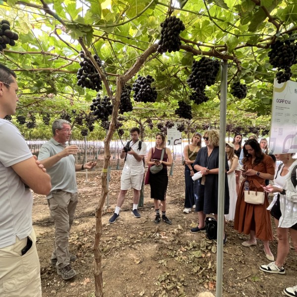 Bloom Fresh, obtentora de la variedad, organizó un press trip para presentar Boombites™.