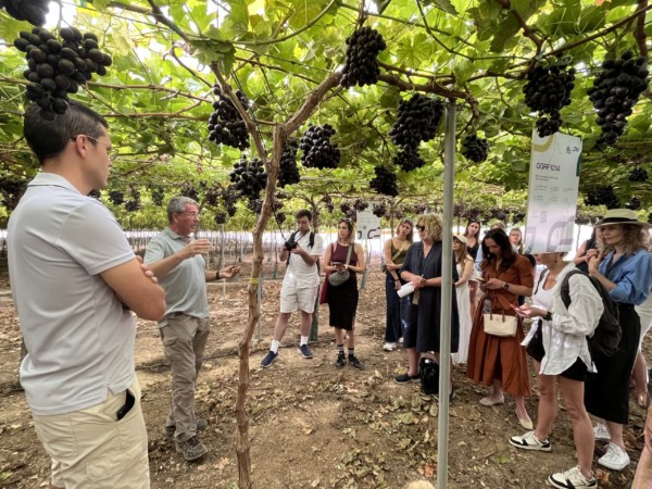 Bloom Fresh, obtentora de la variedad, organizó un press trip para presentar Boombites™.