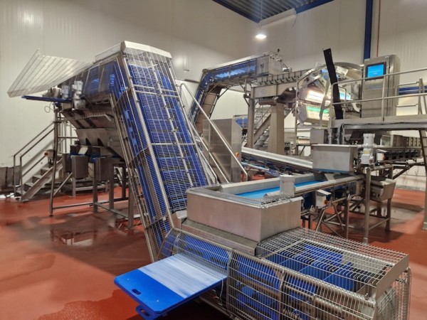 Industrial Auctions es una subasta online especializada en maquinaria para la industria alimentaria y de bebidas. 