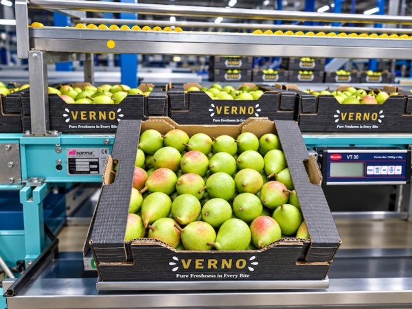MARTIMAR refuerza su integración en origen con MARTIMEX para crecer en la distribución nacional