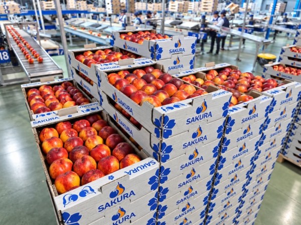 MARTIMAR refuerza su integración en origen con MARTIMEX para crecer en la distribución nacional