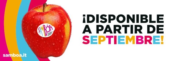 Arranca la campaña de la manzana Sambóa