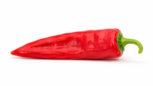 El pimiento Swicy y todo el portfolio hortícola de Yuksel, en el Fresh Market 2026