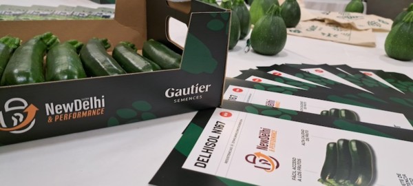 Gautier Semences reunió ayer en Santa María del Águila, en El Ejido (Almería) a clientes en una jornada técnica. Bajo el título 'Gautier Encuentro Calabacín 2026'