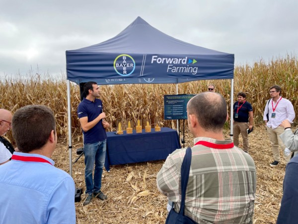Presentación en Sariñena de la primera Bayer ForwardFarm de España dedicada al cultivo de maíz
