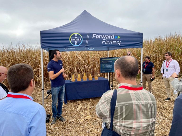 Presentación en Sariñena de la primera Bayer ForwardFarm de España dedicada al cultivo de maíz