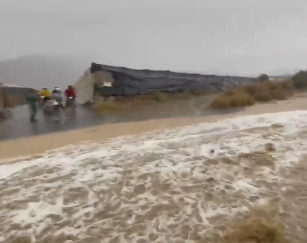 El sector agrícola evalúa los daños tras la inundación de 4.000 hectáreas en Almería