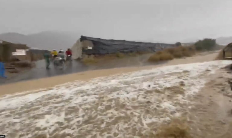 El sector agrícola evalúa los daños tras la inundación de 4.000 hectáreas en Almería