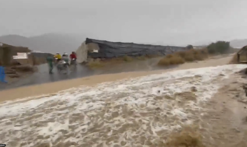 El sector agrícola evalúa los daños tras la inundación de 4.000 hectáreas en Almería