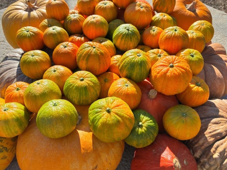 HALLOWEENA™ llega a nuevos mercados y con nuevos formatos en su cuarta temporada
