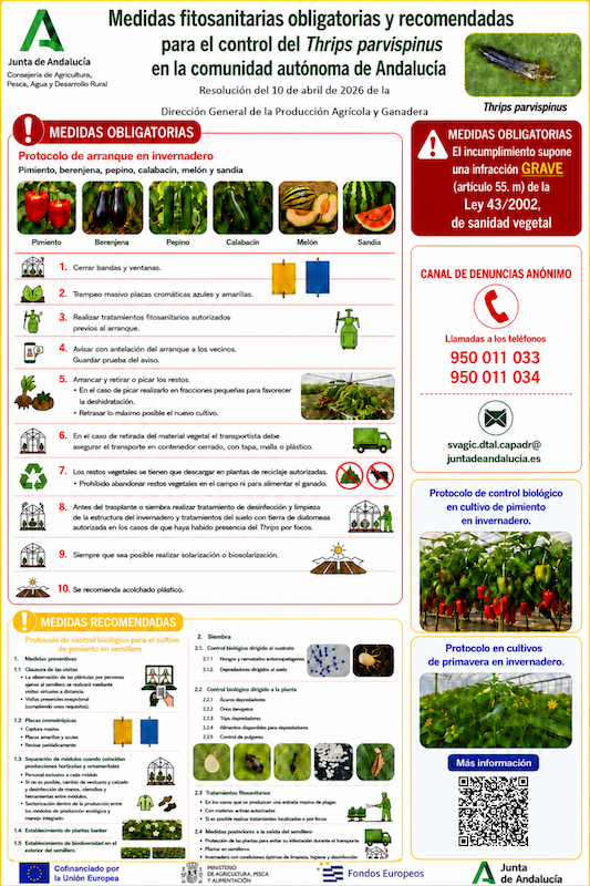 Coexphal exige medidas obligatorias frente al avance del Thrips parvispinus