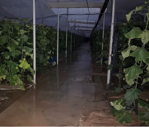 El Ejido cifra en más de 5 millones los daños de la borrasca Adam