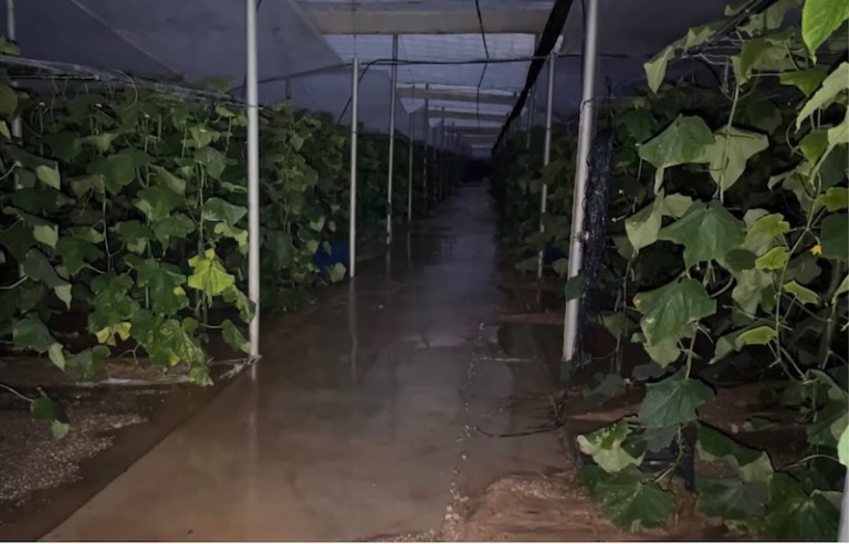 El Ejido cifra en más de 5 millones los daños de la borrasca Adam