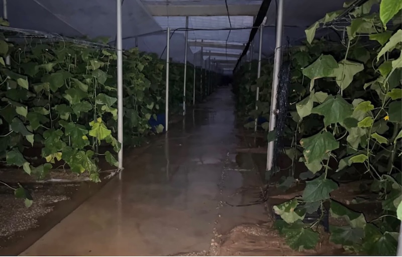 El Ejido cifra en más de 5 millones los daños de la borrasca Adam