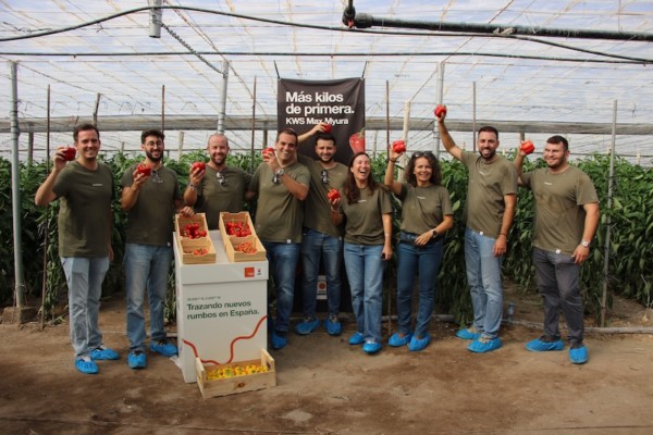 KWS debuta en pimiento California con el temprano KWS Max Myura