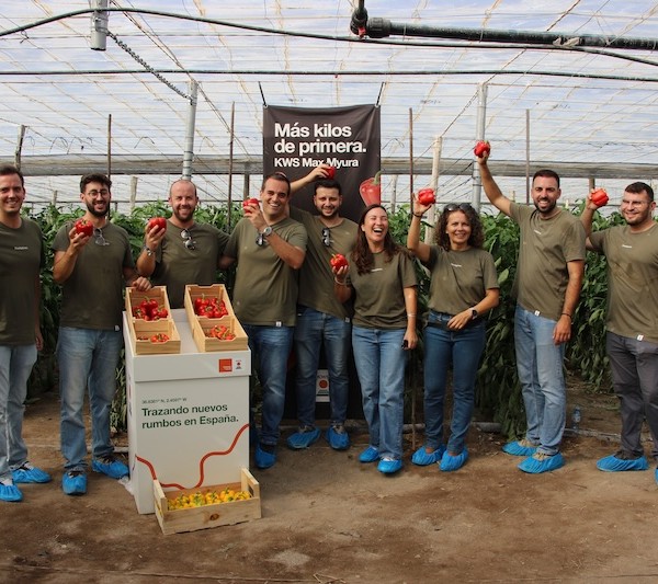 KWS debuta en pimiento California con el temprano KWS Max Myura