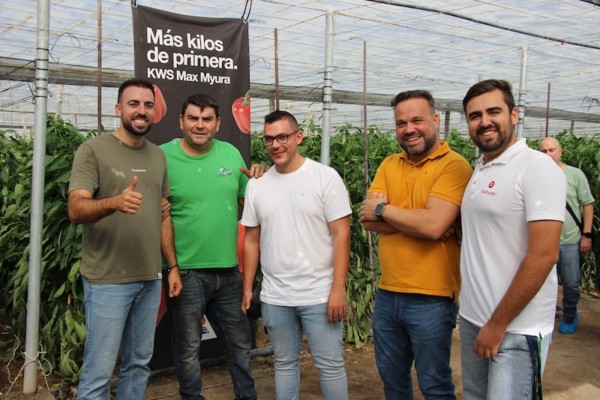 KWS debuta en pimiento California con el temprano KWS Max Myura