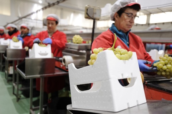 Poliestireno expandido: el aliado definitivo para prolongar la vida útil de los productos frescos