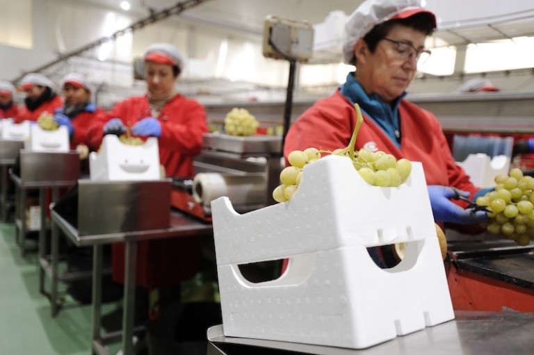 Poliestireno expandido: el aliado definitivo para prolongar la vida útil de los productos frescos