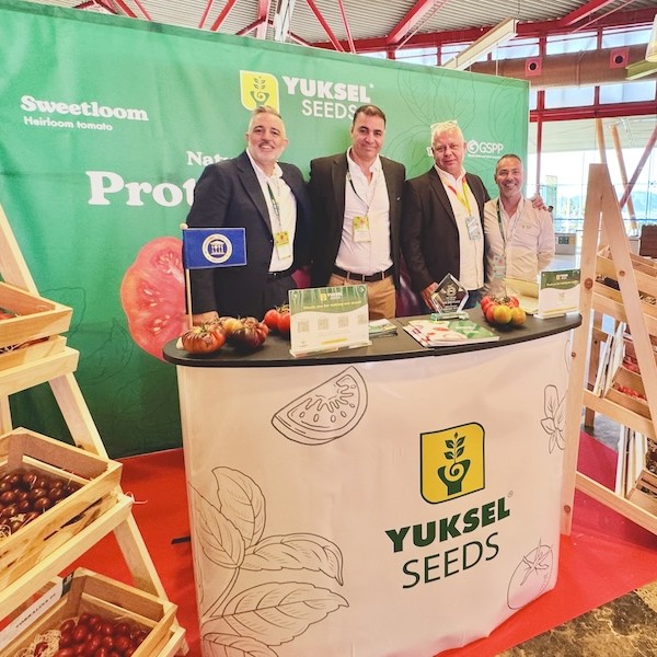 Yuksel Seeds pone en valor el tomate asurcado en el Tomato Congress de Granada