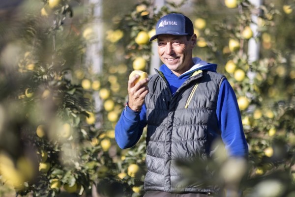 yello® vuelve a los lineales: la manzana de piel amarilla premium