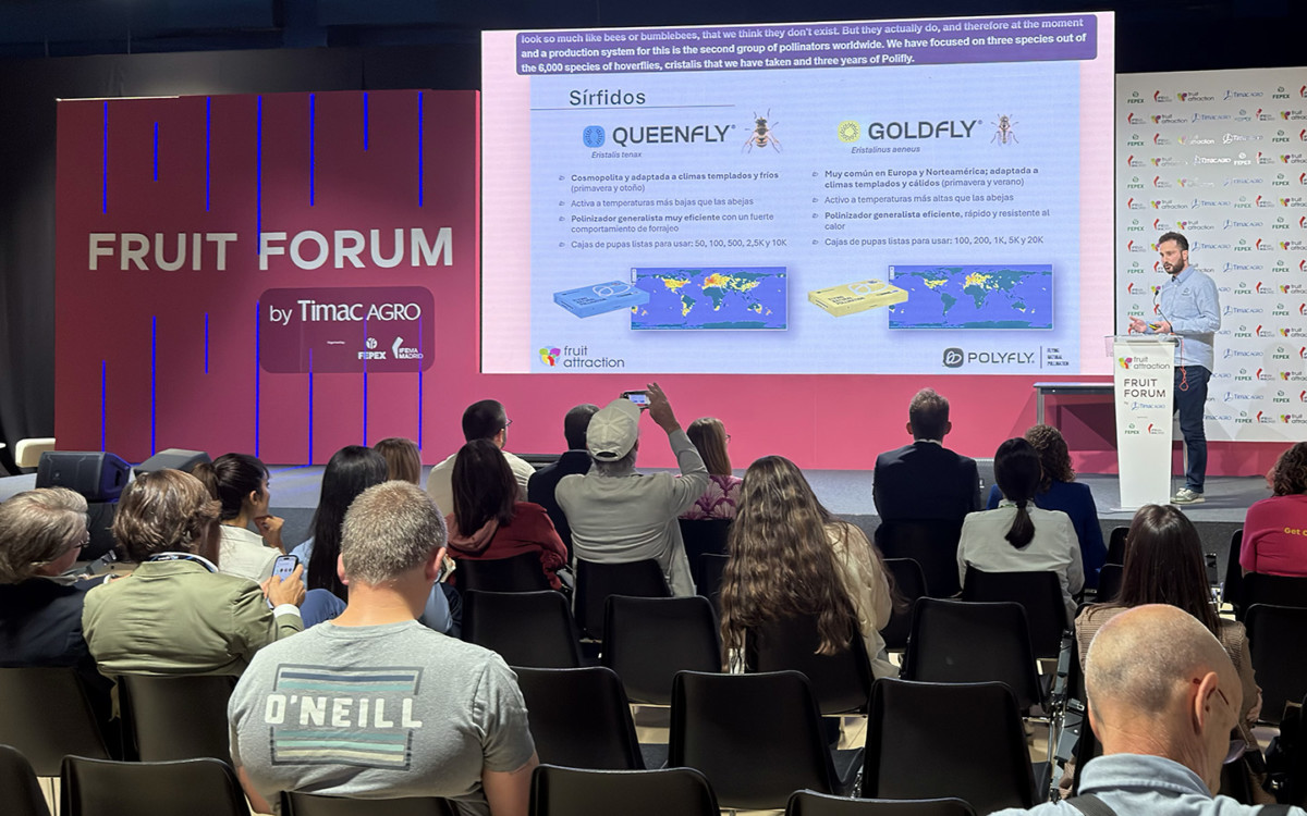 Marc Vaez-Olivera, CEO y cofundador de Polyfly