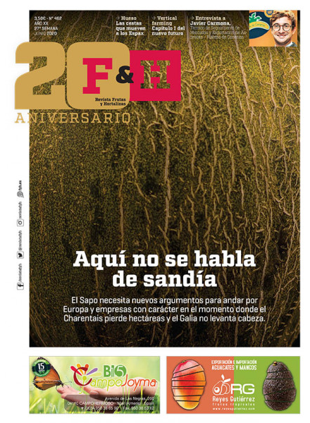 Revistas F&H 462