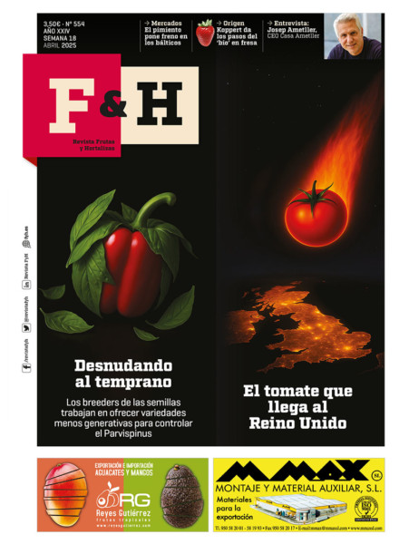 F&H 554
