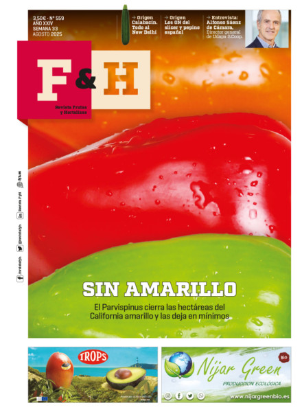 F&H 559