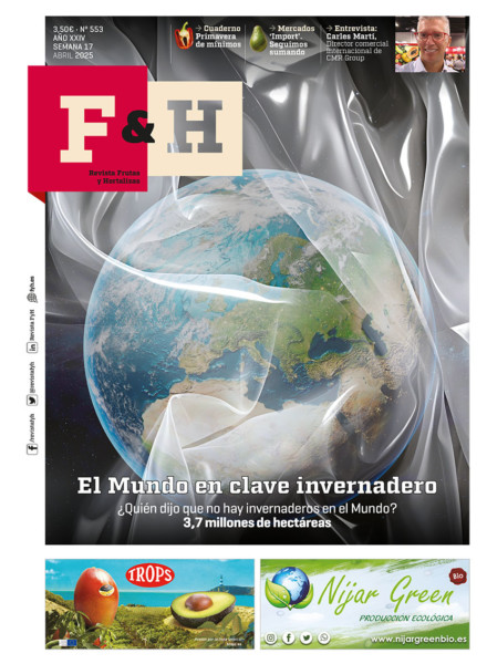 F&H 553