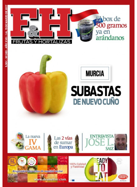 Revista 383